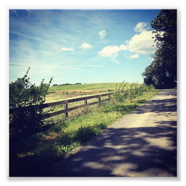 Gameland Fence Photo Print (Front)