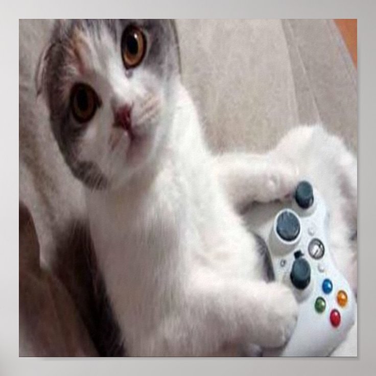 Gaming Cat - poster | Zazzle