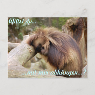 Gammelaffe Postcard