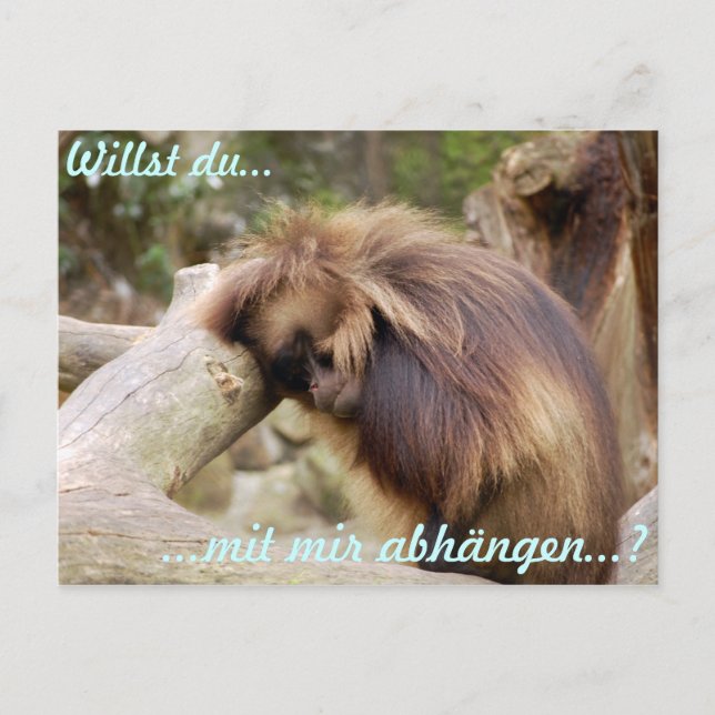 Gammelaffe Postcard (Front)