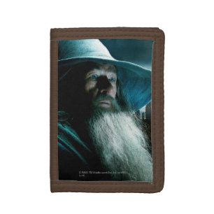 Gandalf at Dol Guldur Tri-fold Wallet
