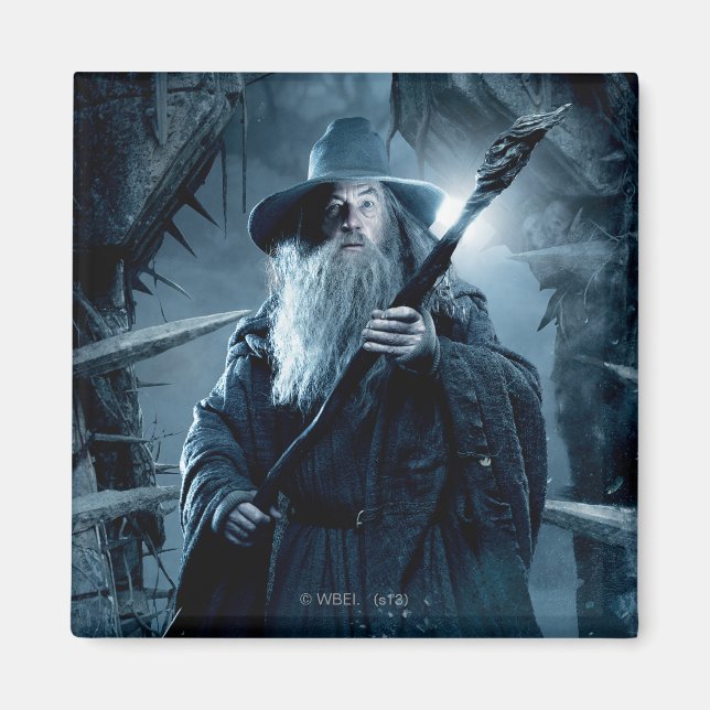 Gandalf Character Poster 3 Magnet (Front)