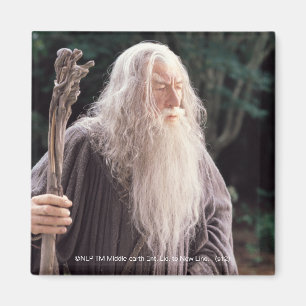 GANDALF™ Standing Magnet