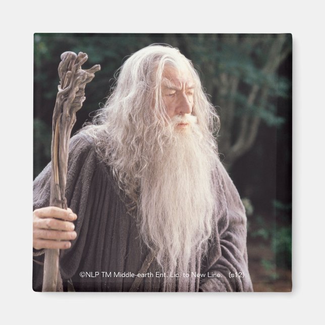 GANDALF™ Standing Magnet (Front)