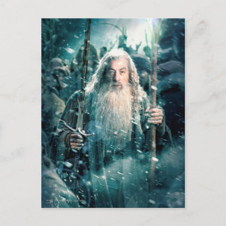 Gandalf The Gray Postcard