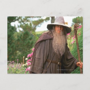 Gandalf™ With Hat Postcard by lordoftherings at Zazzle