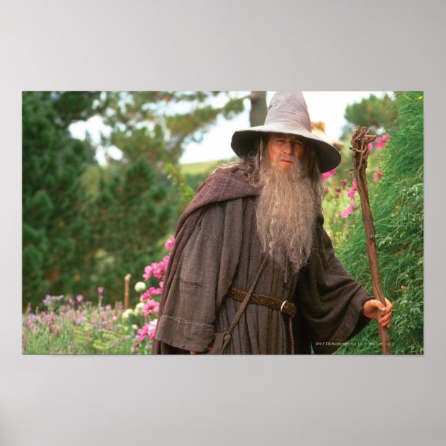 GANDALF™ with Hat Poster | Zazzle.com