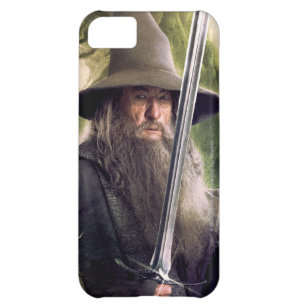 Gandalf With Staff And Sword Case For iPhone 5C
