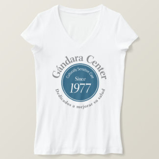 Gándara & Bella+Canvas Jersey V-Neck T-Shirt