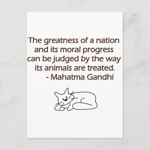Gandhi Animals Quote with Cat Postcard