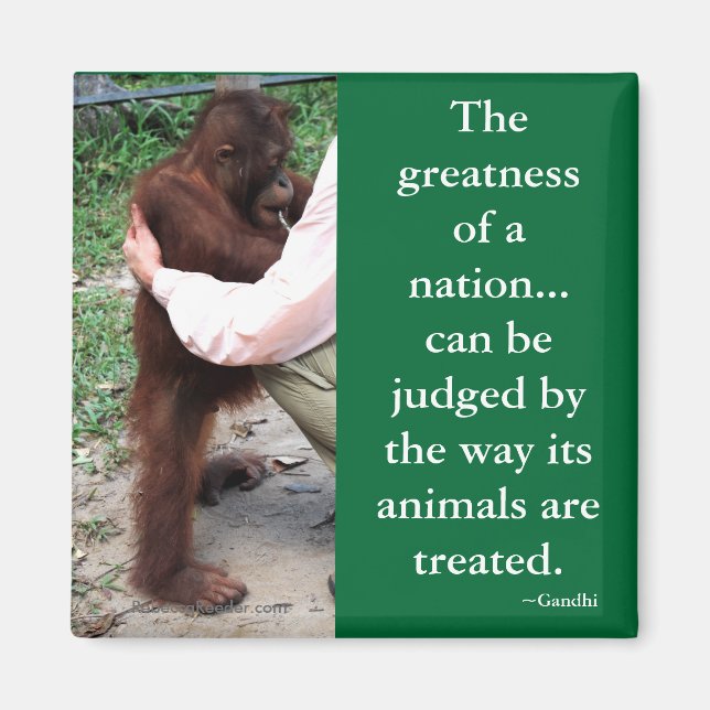 Gandhi's Animal Quotation Magnet (Front)