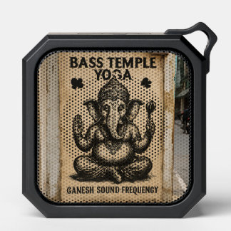 Ganesh Sound System Speaker – Bass Temple Edition