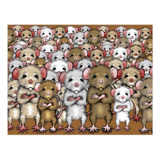 https://rlv.zcache.com/gang_bunch_of_rats_postcard-r747b58e3756b4b49865ec82c6d811ae7_vgbaq_8byvr_540.jpg