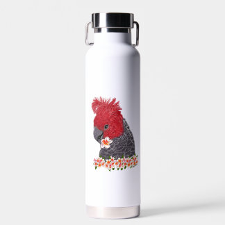 Gang gang water bottle