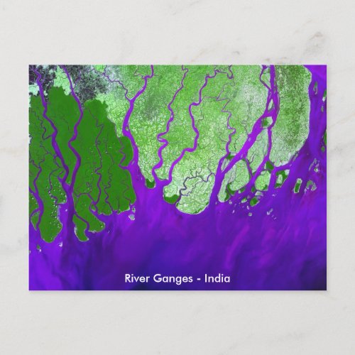 Ganges River Delta Satellite Image _ India Postcard