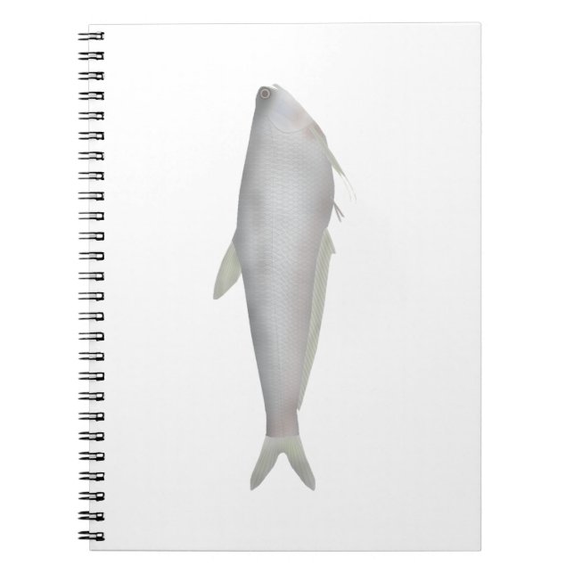 Gangetic Hairfin Anchovy  Notebook (Front)