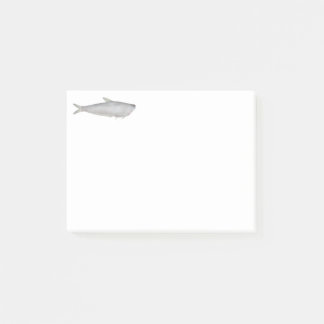 Gangetic Hairfin Anchovy Post-it Notes