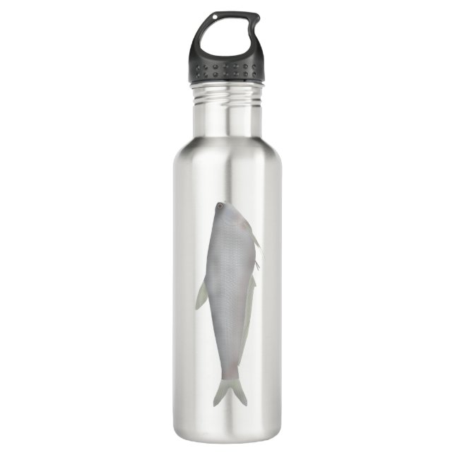 Gangetic Hairfin Anchovy  Stainless Steel Water Bottle (Front)