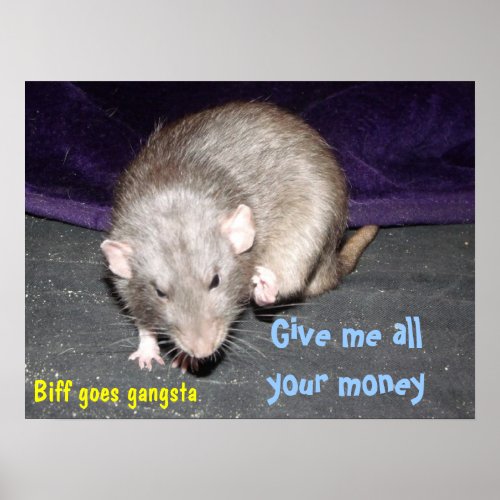 gangsta rat poster