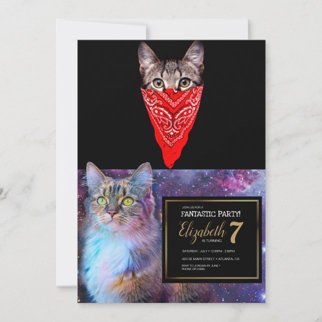 Gangster cat hood invitation (Front)