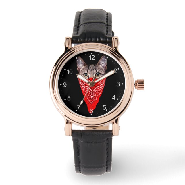 Gangster cat hood watch (Front)