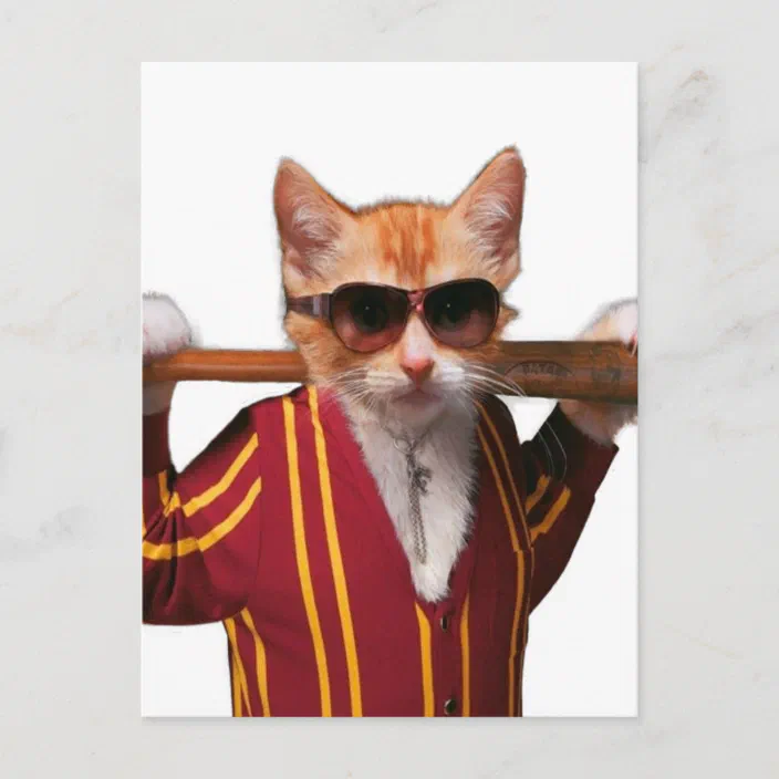 Gangster Cat Orange Cat Funny Cat Postcard Zazzle Com