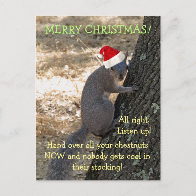 Gangster Santa Squirrel Christmas Postcard (Front)