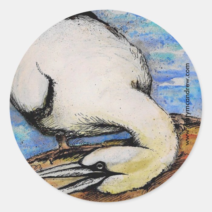 Gannet   Bird Stickers