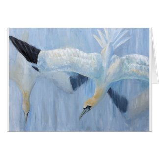 Gannets diving unique gifts for you cards