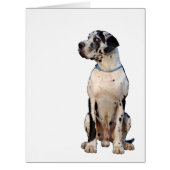 Ganz große Doggen Karte (Front)