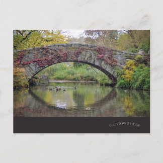 Gapstow Bridge-Central Park NYC Post Card