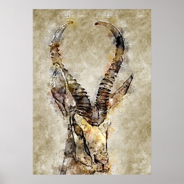 Personalized Gazelle Gifts on Zazzle