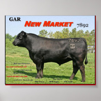 GAR NEW MARKET POSTER