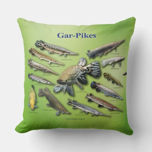 Gar_Pikes Throw Pillow