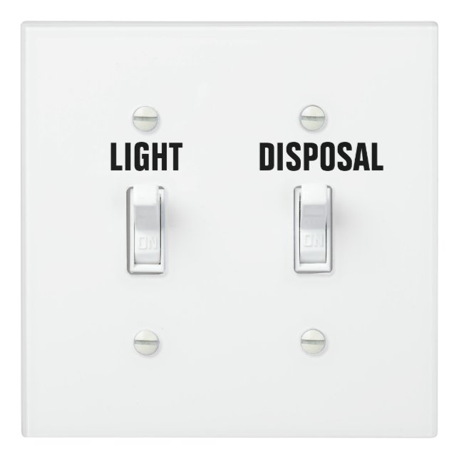 Garbage Disposal & Light Switch (In Situ)