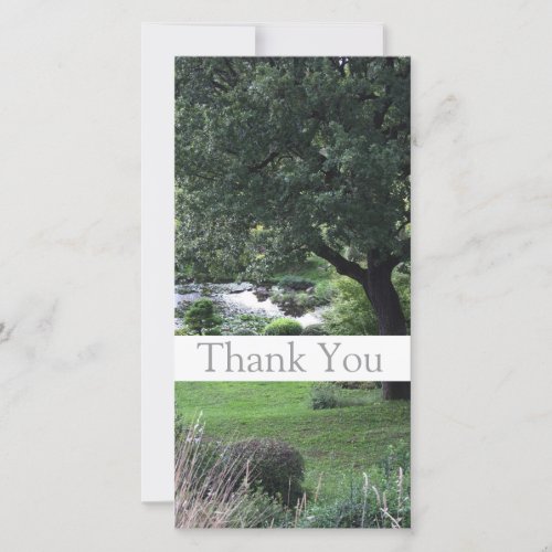 Garden 6 Tree Thank You Photo Cards 1