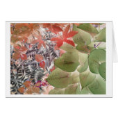 Garden 9 (Front Horizontal)