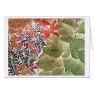 Garden 9 cards