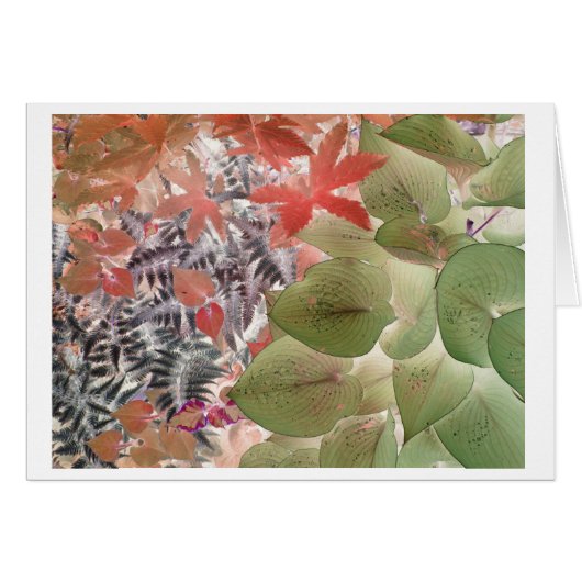Garden 9 cards (Front Horizontal)