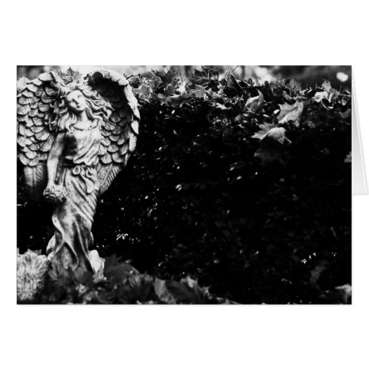 "garden angel" by Larry Coressel (Front Horizontal)