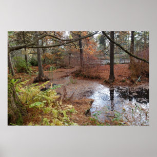 garden autumn trees and water pond plants scene. poster