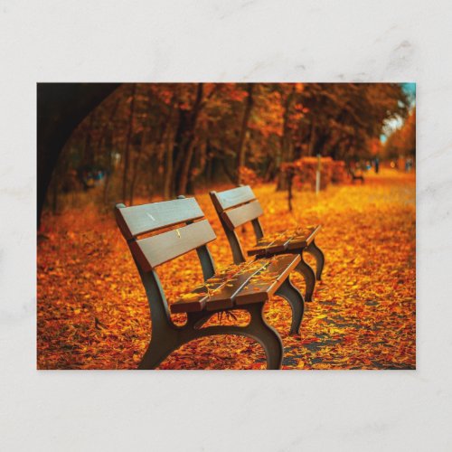Garden Benches in the Autumn Postcard