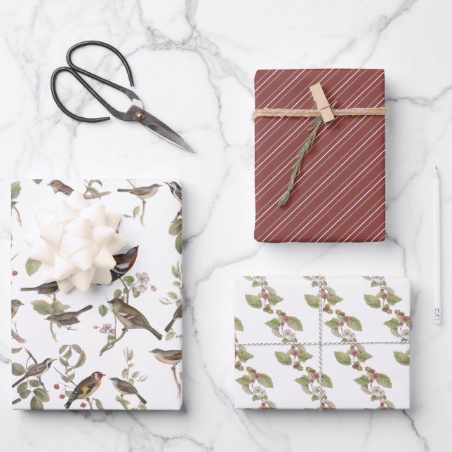 Garden Birds in Branches and Coordinating  Wrapping Paper Sheets (Front)