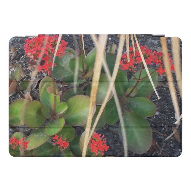 Garden Breeze iPad Pro Cover (Horizontal)