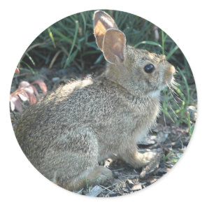 Garden Bunny Classic Round Sticker