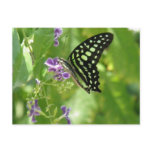 Garden Butterfly Postcard