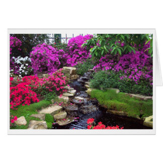 Garden Cards