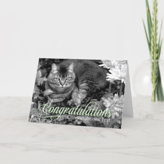 Garden Cat Blank Congratulations Card