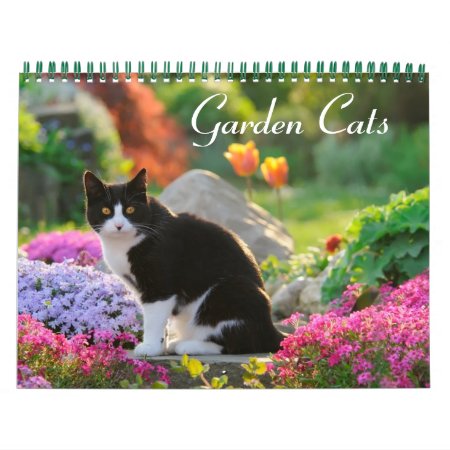 Garden Cats - Size Medium Calendar