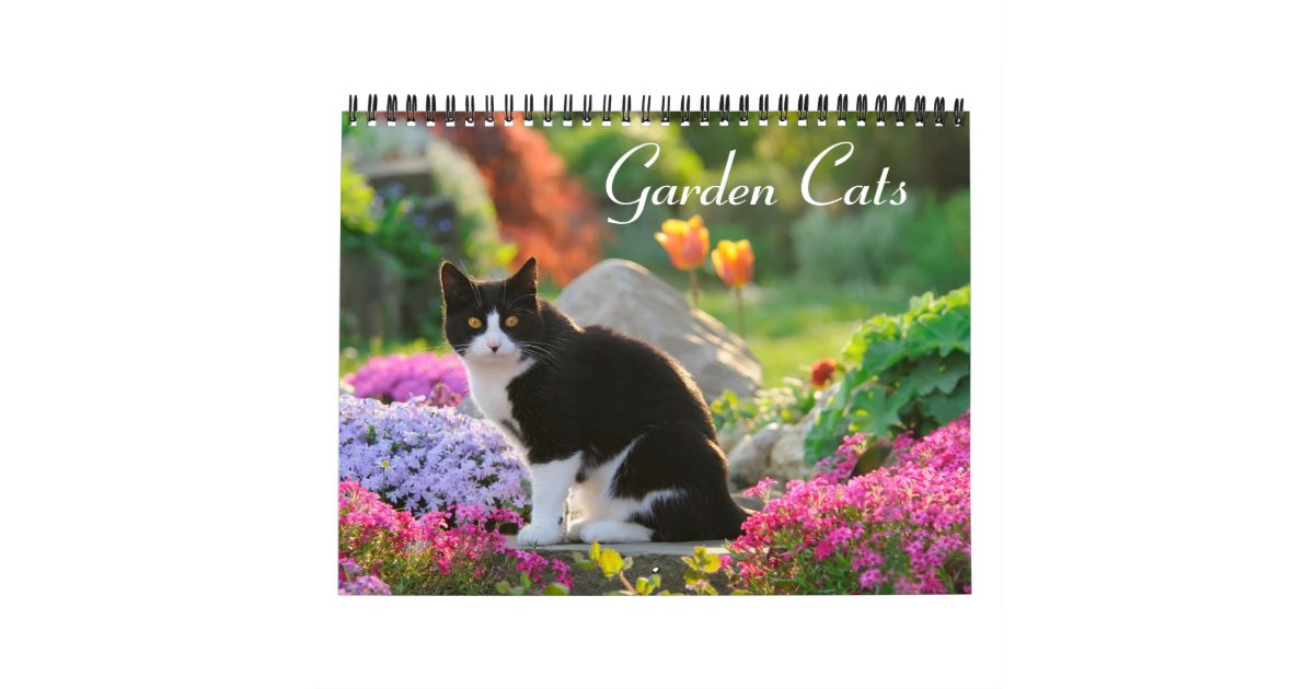 2024 Cats In Art Wall Calendar -12 Months Premium Planner Gift 2024 Cat  Garden Calendar Durable Easy To Use